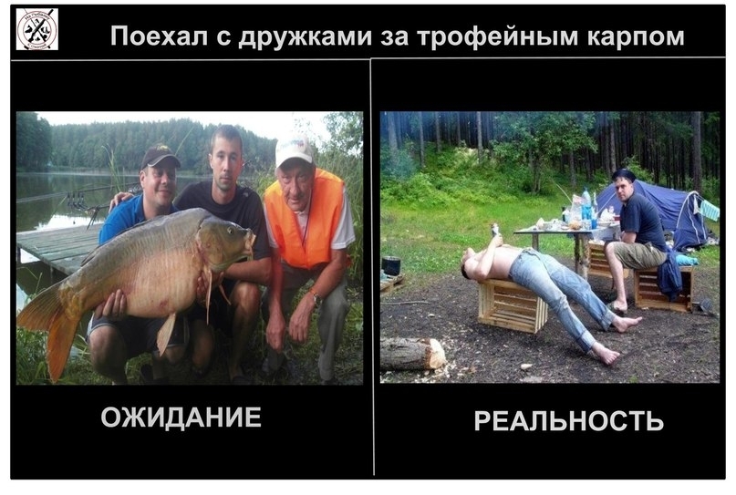 картинки про рыбалку видео