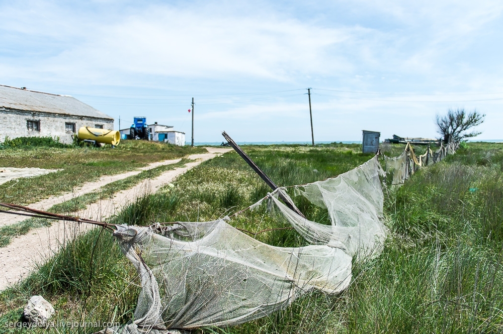 Интересный способ ловли рыбы в Крыму