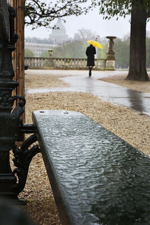 Художник, что рисует дождь... Christophe Jacrot: красота в ненастье