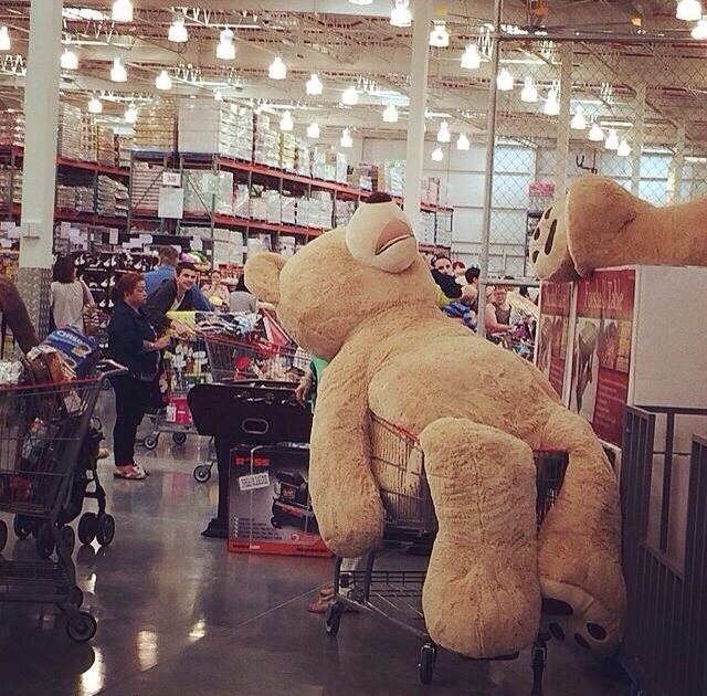 Огромный плюшевый медведь в магазине