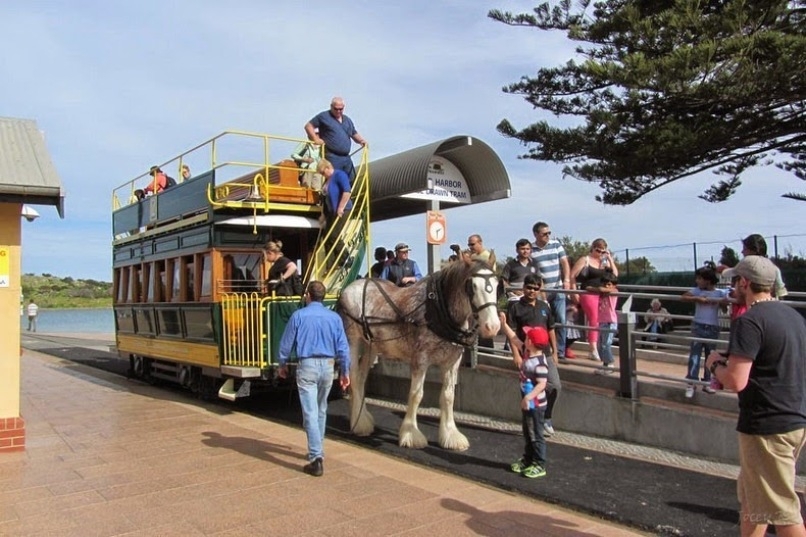 Последний конный трамвай в мире