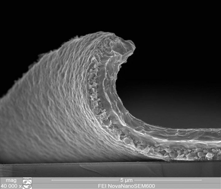 Нано мир. Фото сделанные с помощью электронного микроскопа