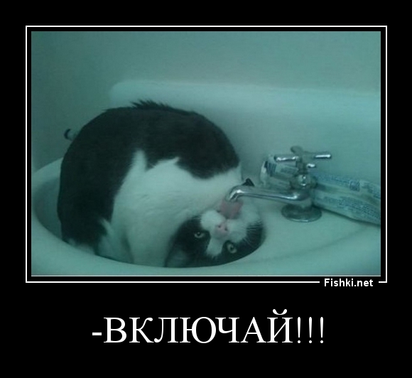 -Включай!!!