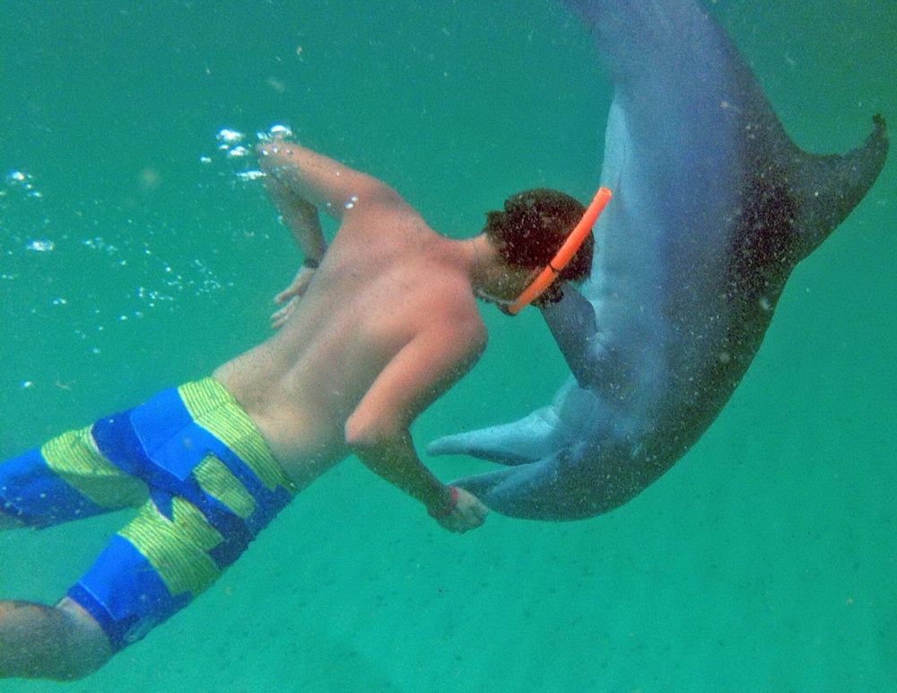 Встреча с дельфином