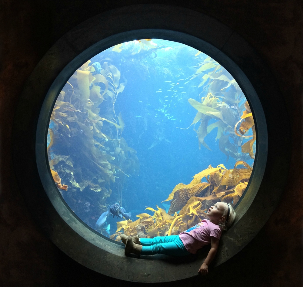 Девочка в океанариуме 