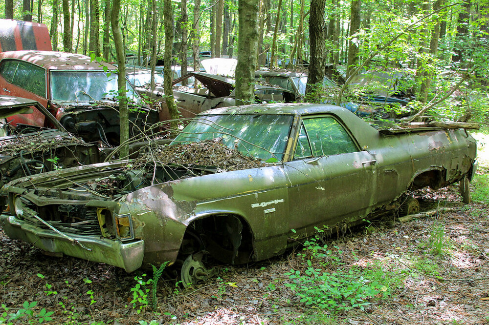 Самое большое в мире кладбище старых американских авто