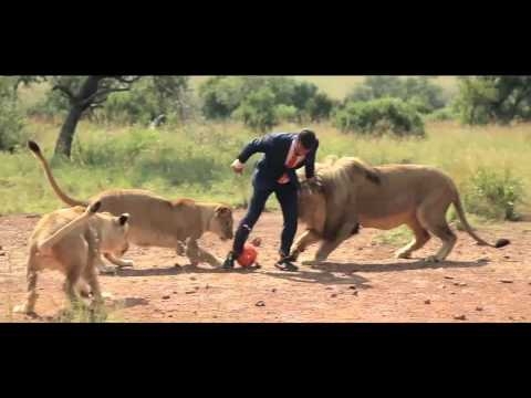 Футбол со львами 