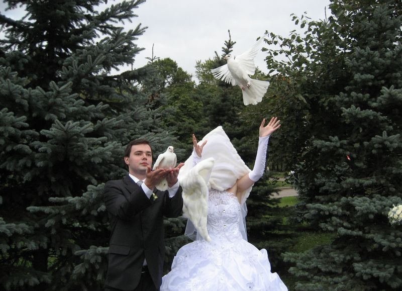 Удачный кадр невесты
