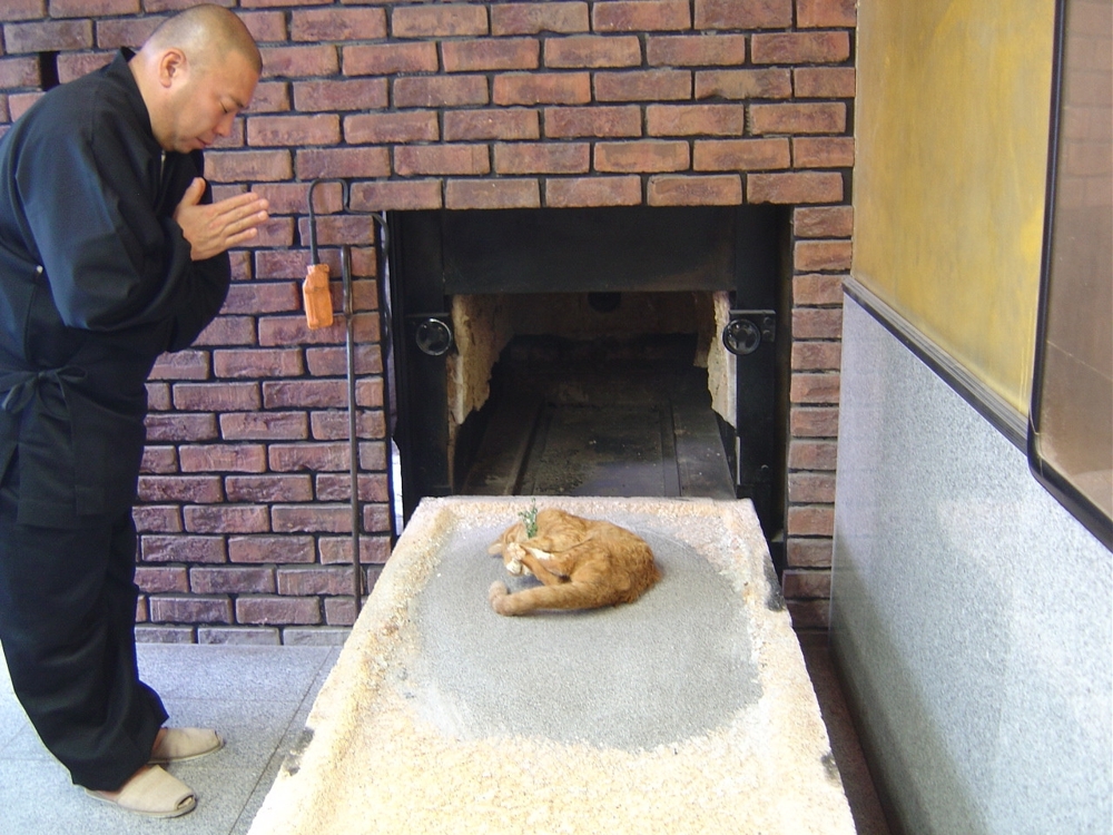Как японские буддисты хоронят своих кошек