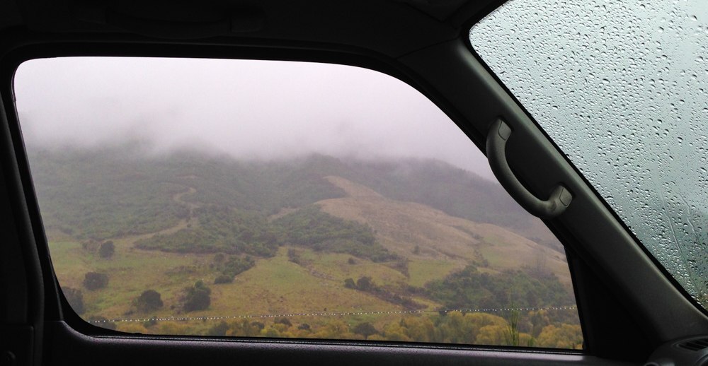 Новая Зеландия из окна автомобиля