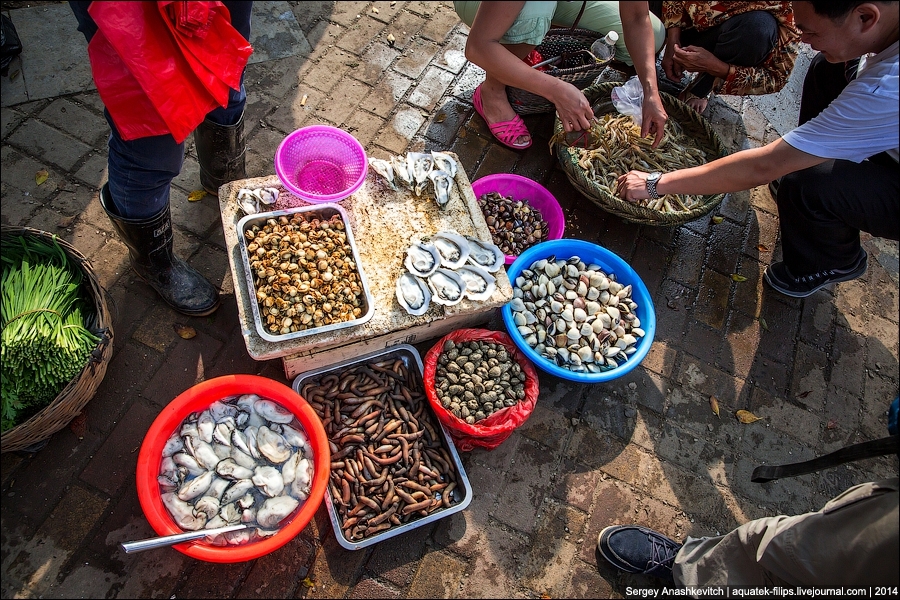Рынок морепродуктов на Хайнане
