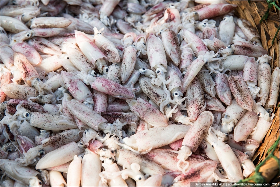 Рынок морепродуктов на Хайнане