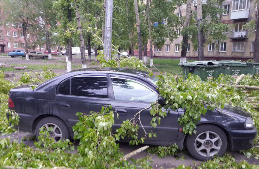 Дерево упало на машину