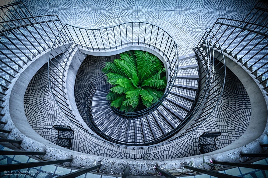 Завораживающие фотографии винтовых лестниц. 