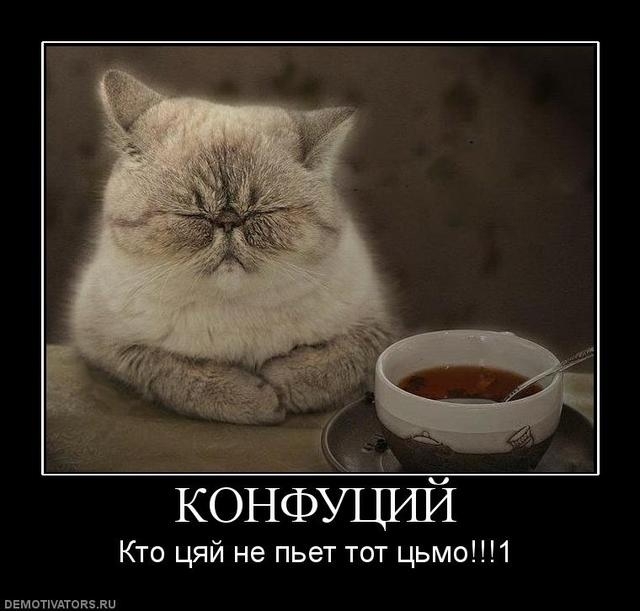 Котэ... 