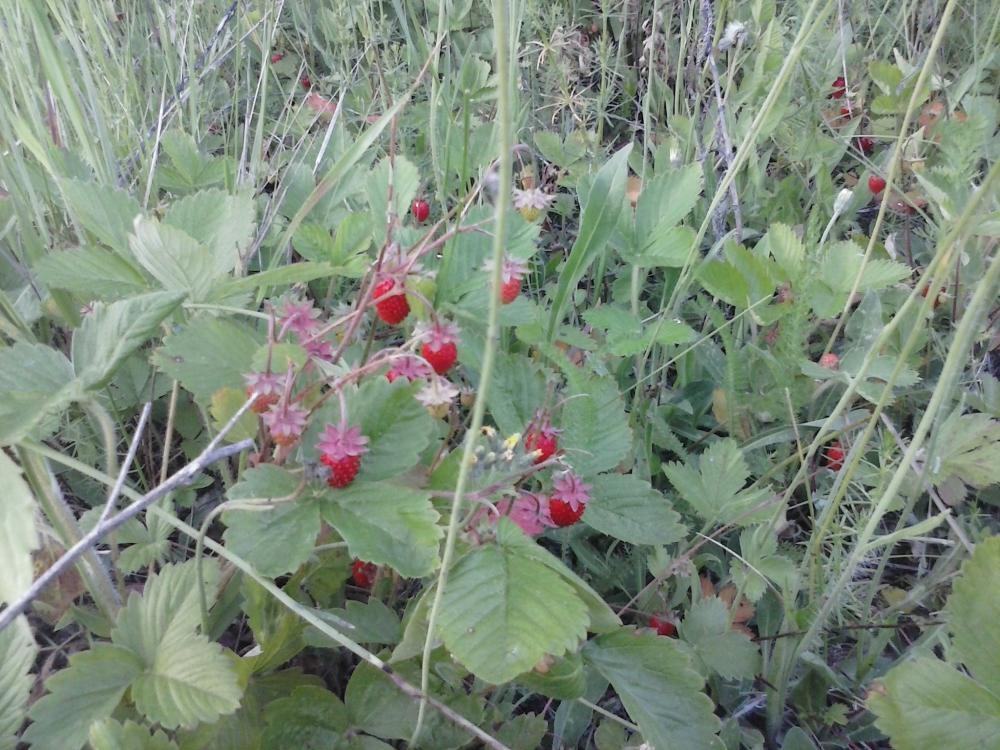 Вечером 06.06.14