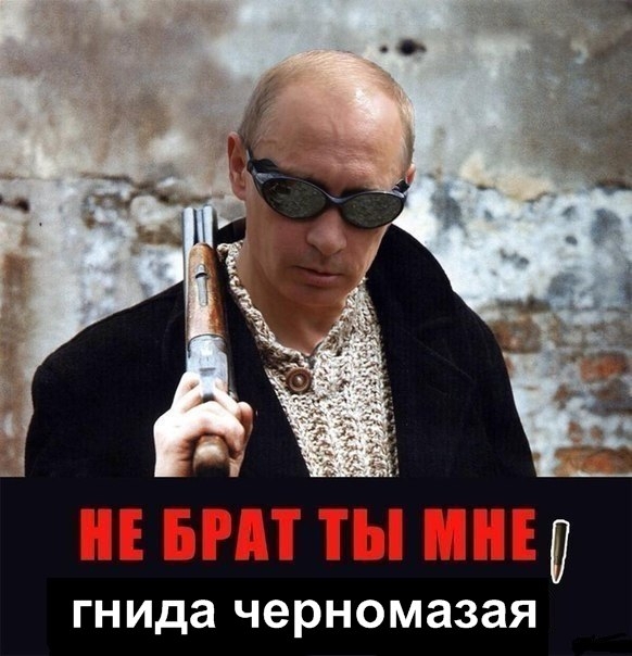 Во всём виноват Путин!