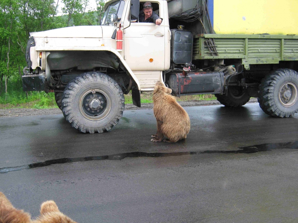  Встреча на трассе