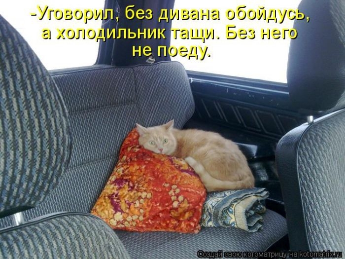 котоматрицы 