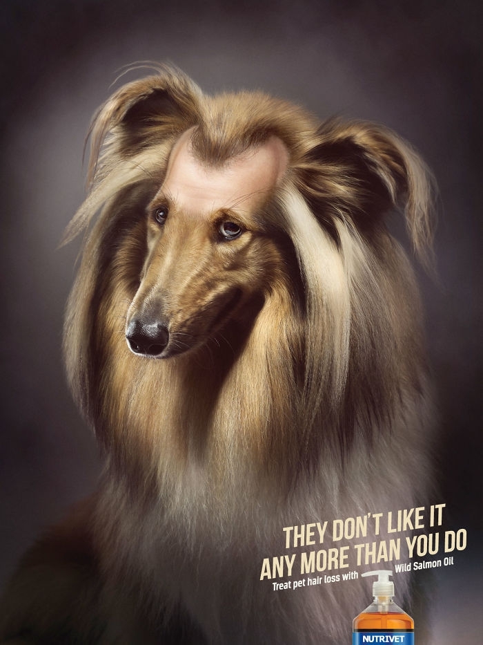 Милые и забавные рекламные постеры с животными.