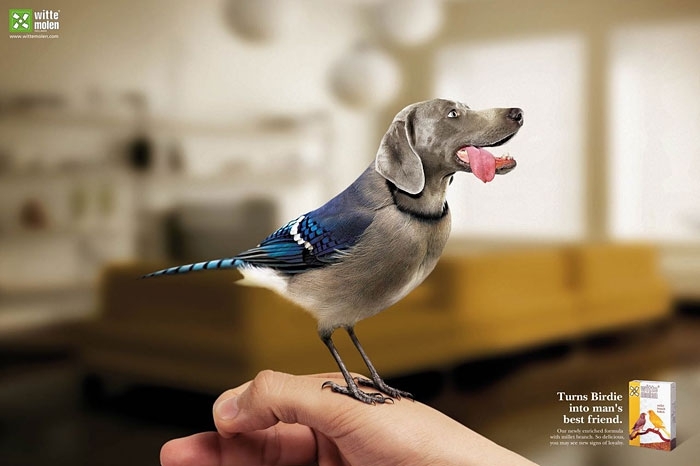 Милые и забавные рекламные постеры с животными.