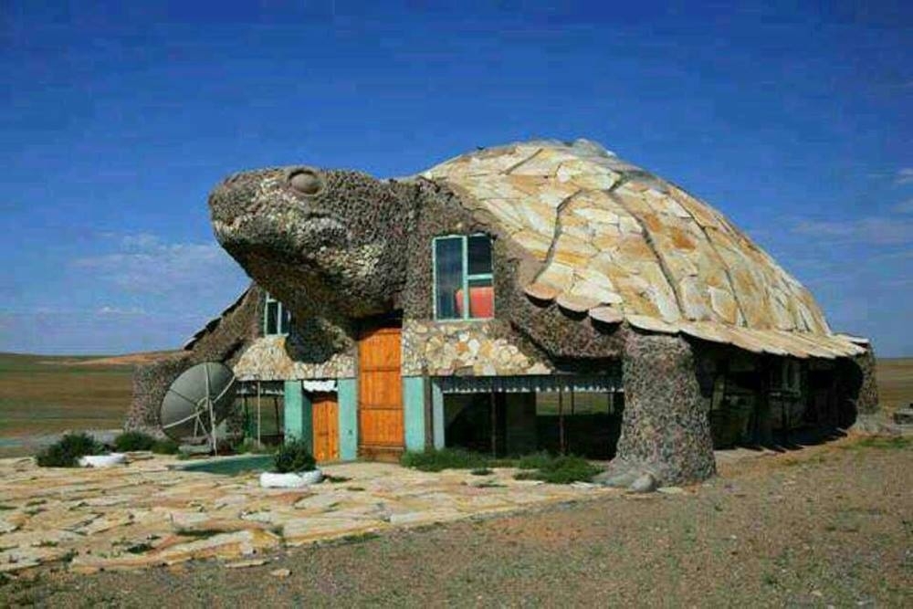 Черепаха-дом