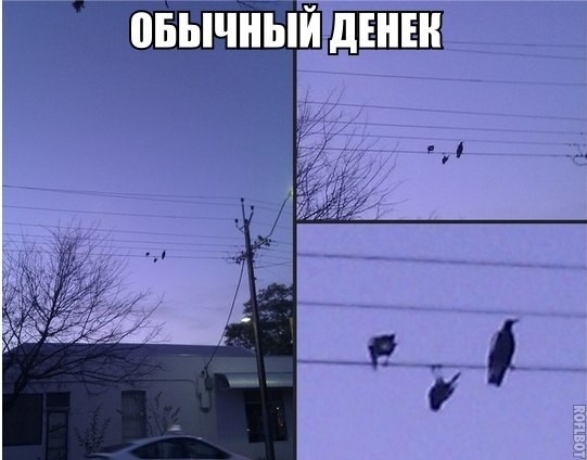 Немного позитива)