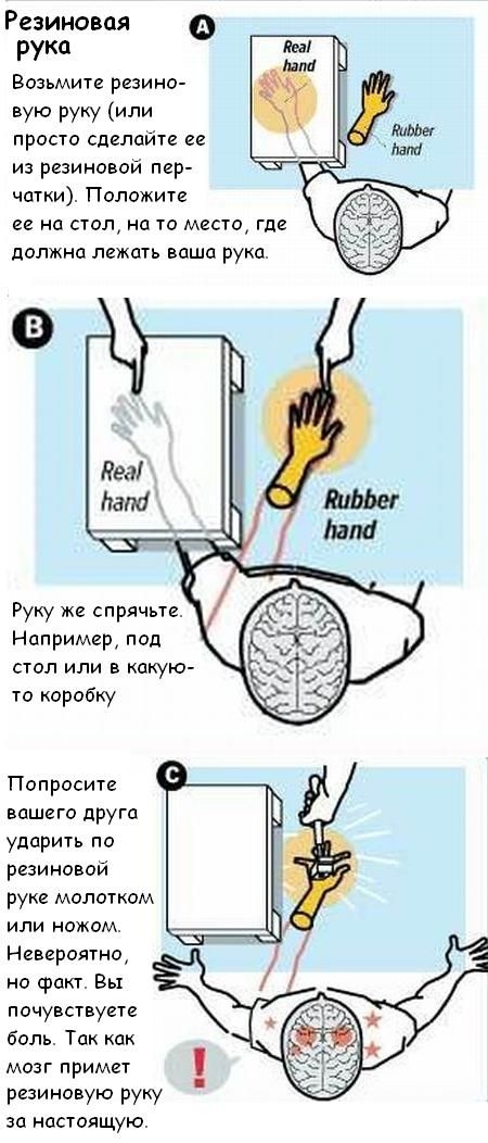 Как можно обмануть свой мозг или просто напросто словить ГЛЮК...