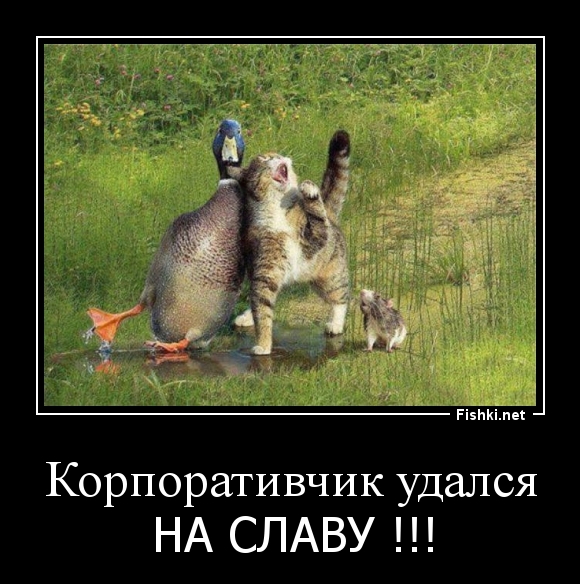 Корпоративчик удался