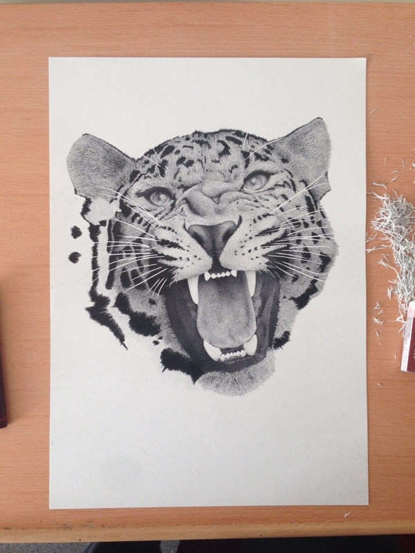 Рисунок леопарда от иллюстратора Xavier Casalta