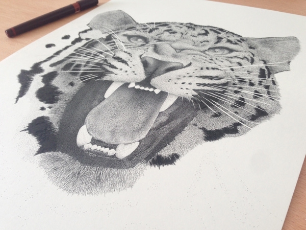 Рисунок леопарда от иллюстратора Xavier Casalta