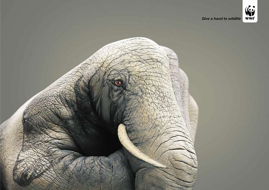 Социальные плакаты в защиту животных