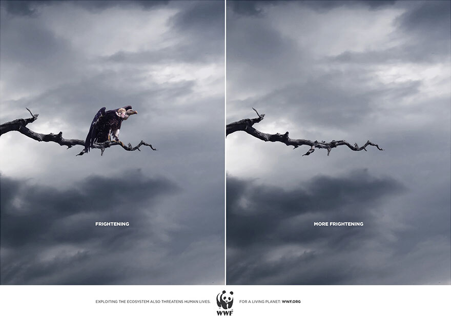 Социальные плакаты в защиту животных