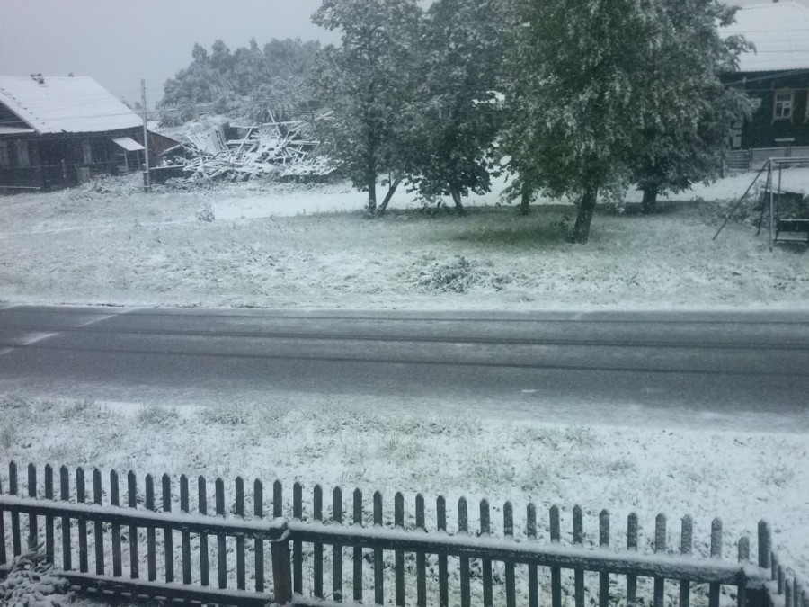 В Тверской области в середине июня выпал снег