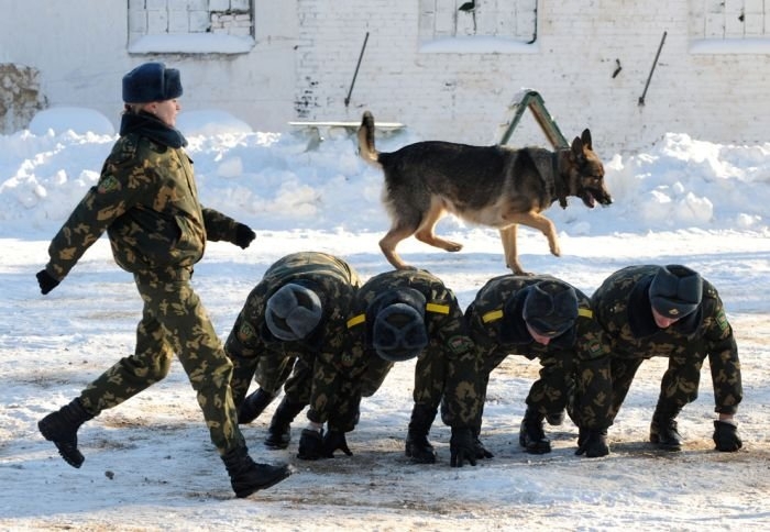 Я Вам не ты, и Вы здесь не тут... (приколы от военных)