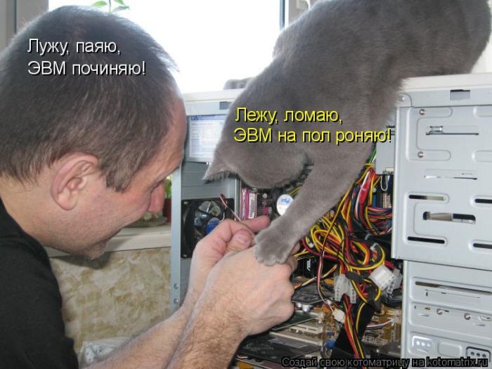 Лучшие котоматрицы недели 