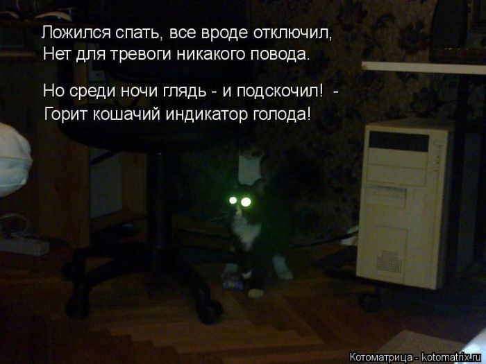 Лучшие котоматрицы недели 