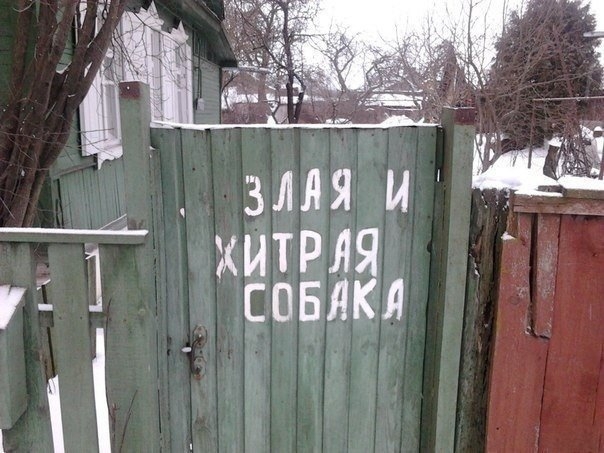 Приколы на вечерок