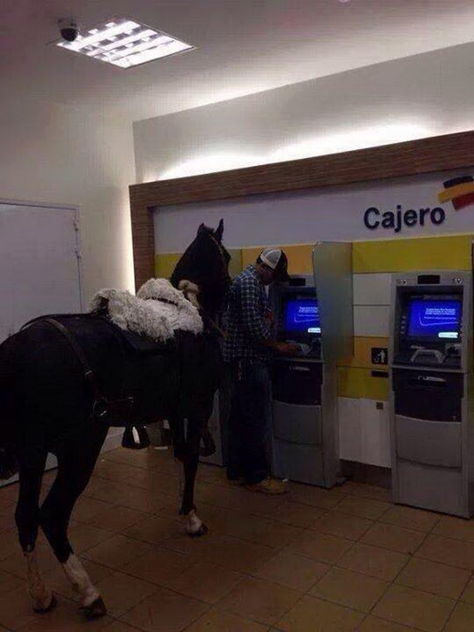 В банкомат с лошадью