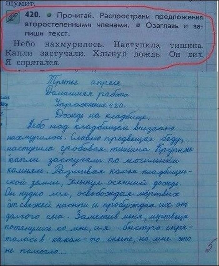 Приколы и маразмы из жизни