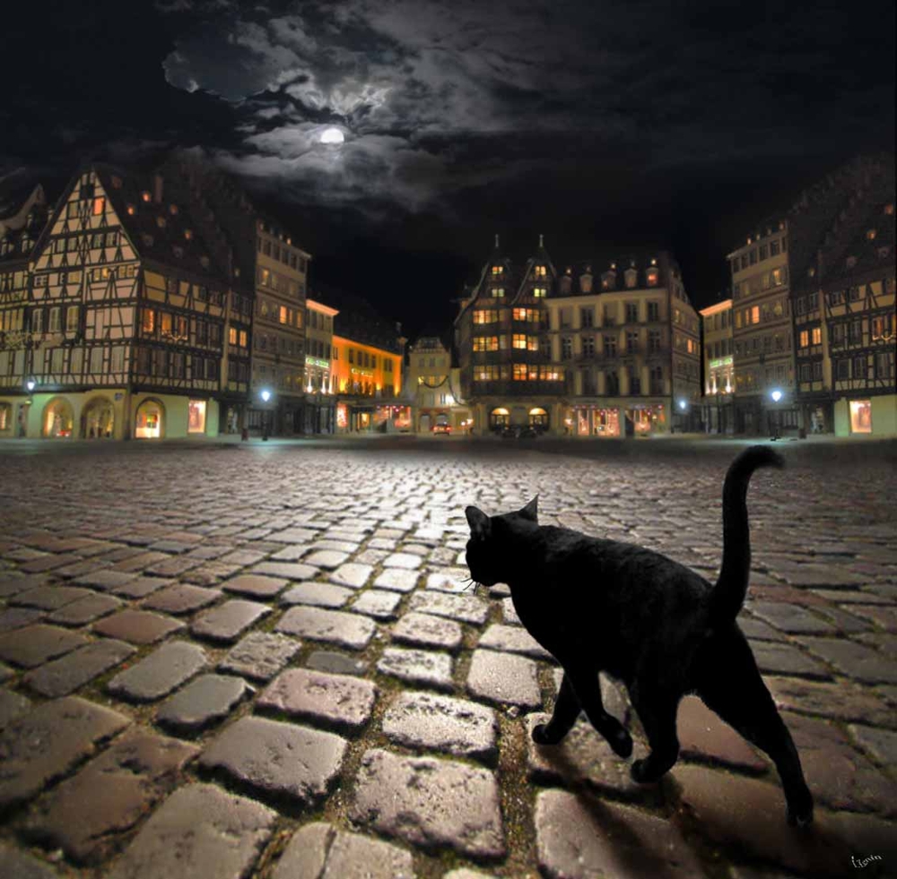 Страсбургский кот 