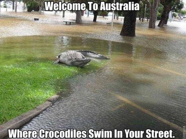 Вы все ещё хотите в Австралию?