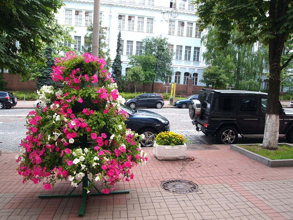 Киев сегодня. Фоторепортаж.