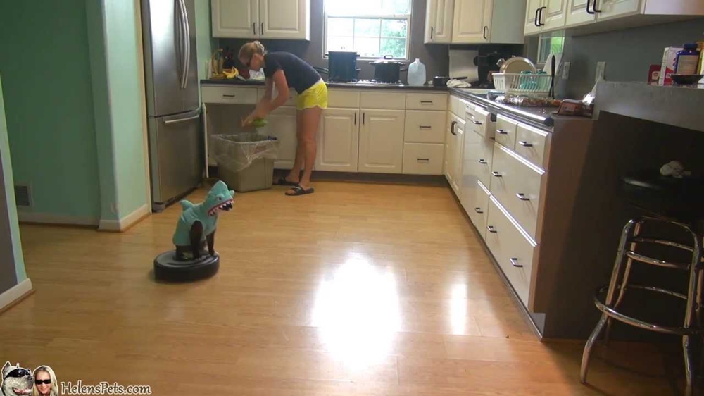 Кошка, одетая в костюм акулы, занимается чисткой кухни. 