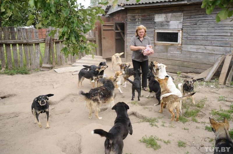 Cамый большой в Беларуси приют бездомных животных