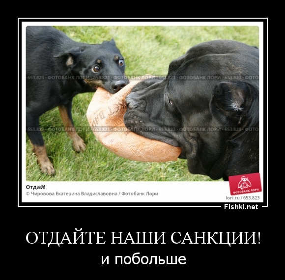 Отдайте наши санкции!