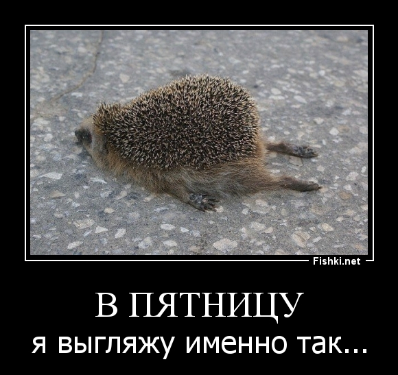 В ПЯТНИЦУ