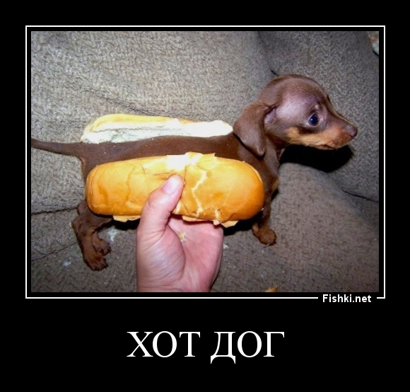 хот дог