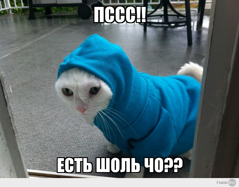 ПССС!!