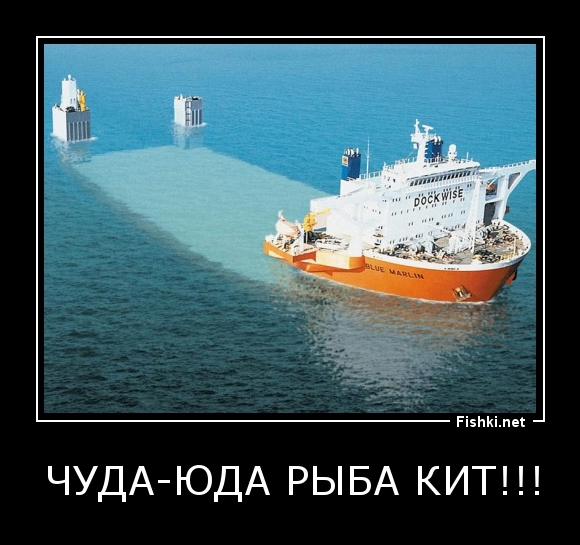 Чуда-юда рыба КИТ!!!